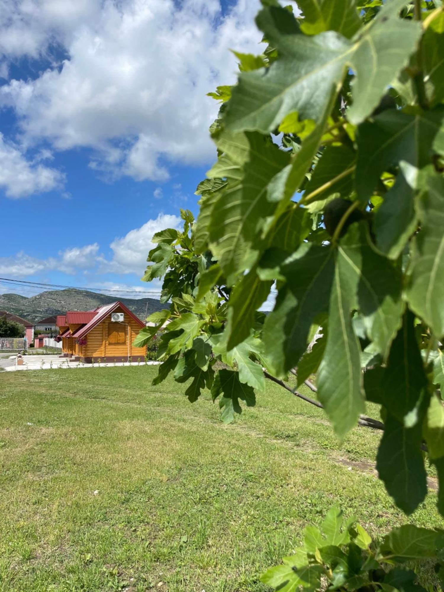 Cozy Bungallows Podgorica Eksteriør billede